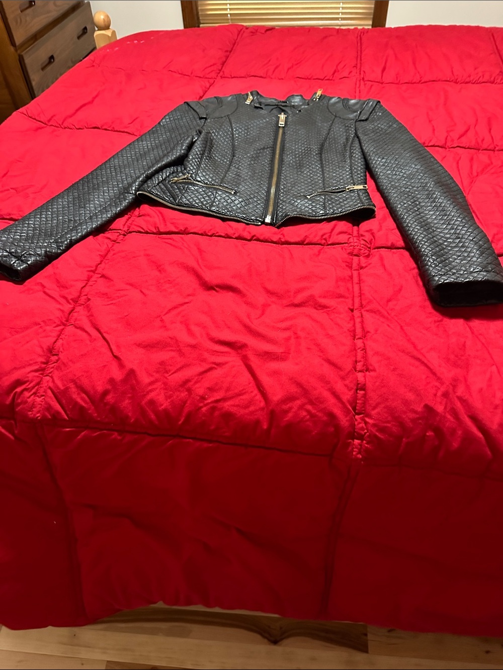 Osley Cropped Black Quilted Faux Leather Moto Jacket with Gold Hardware